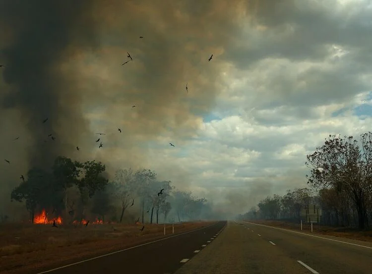 Imagem de fogo em estrada