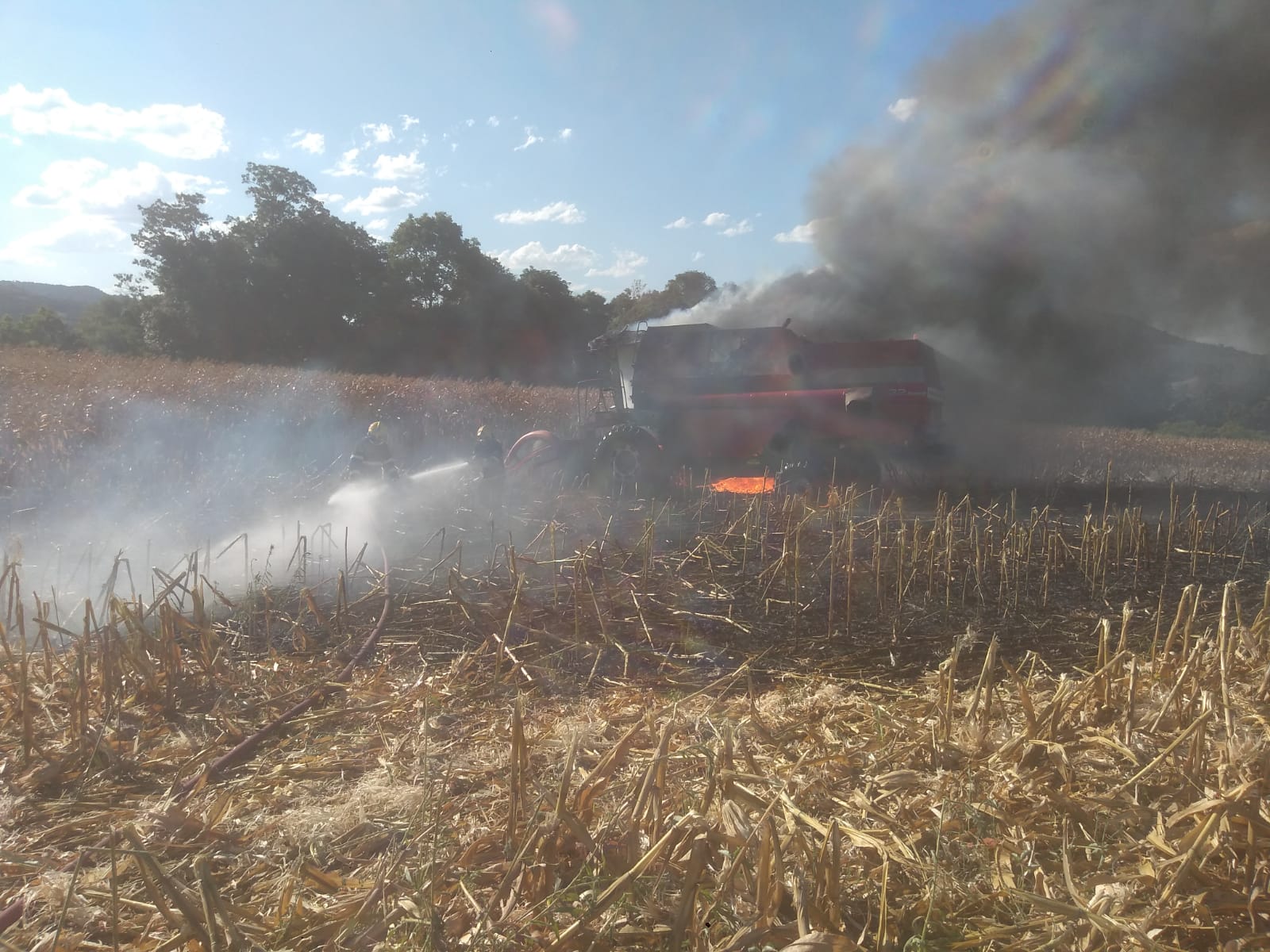 Imagem de uma plantação pegando fogo