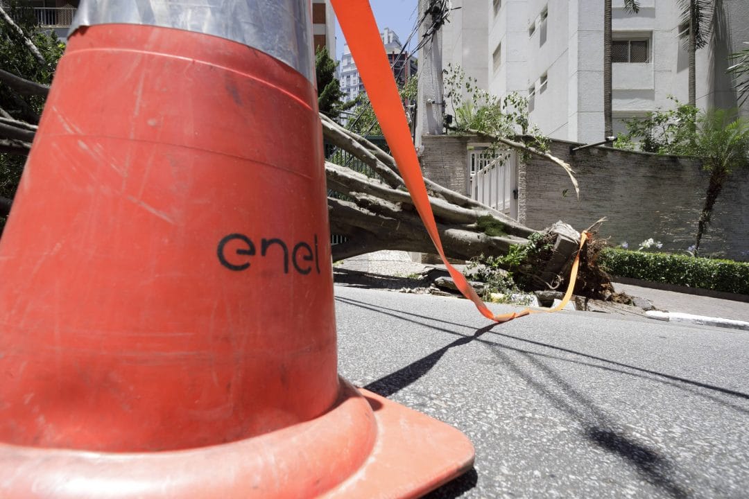 Enel poda mais de 430 mil árvores