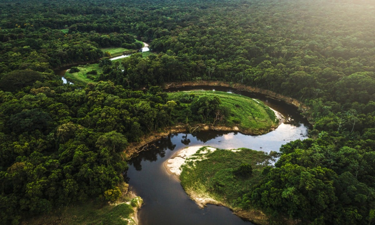 Amazônia