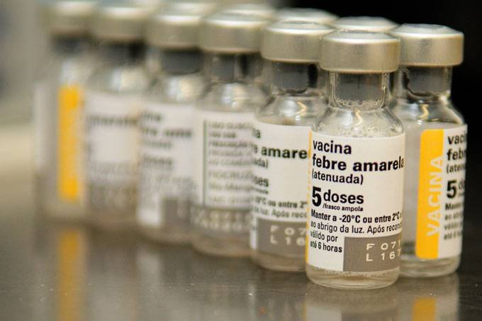 Febre amarela em São Paulo: 20 mortes registradas desde dezembro