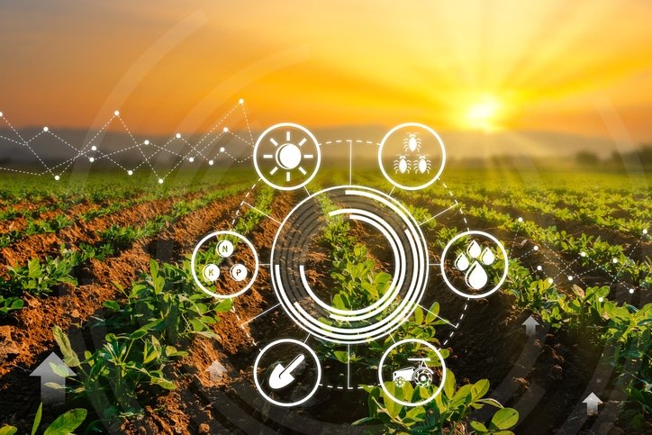 5G avança no Brasil e já transforma processos em indústrias, agro e varejo