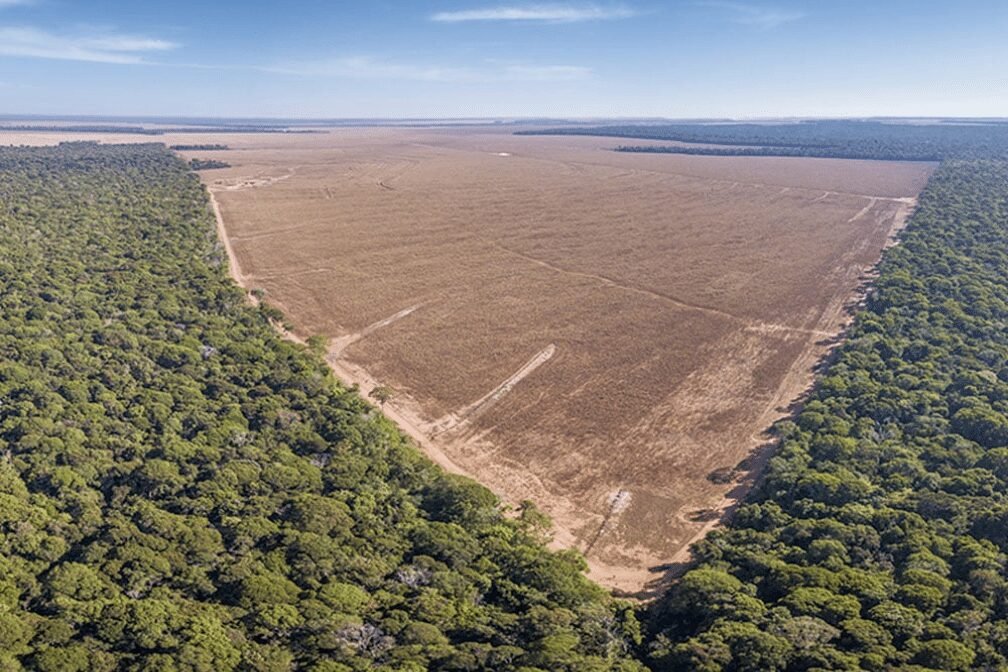 Brasil destrói área natural equivalente à Bolívia em 40 anos, mostra MapBiomas