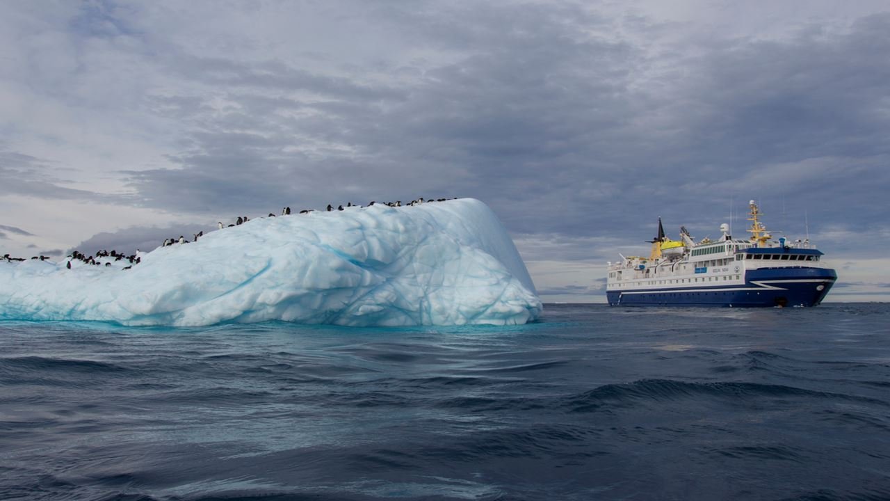Antártida de avião e de cruzeiro: Civitatis lança duas experiências para o continente branco 
