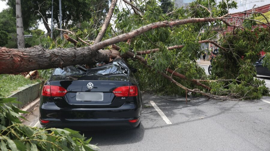 Ventos extremos causam caos em SP e deixam mais de 2 milhões sem energia