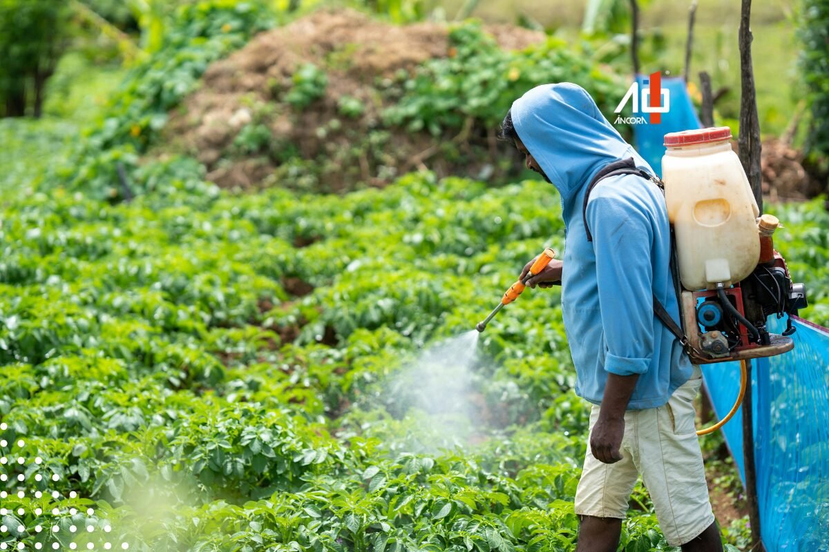 Toxicidade de agrotóxicos cresce e Brasil lidera impacto global