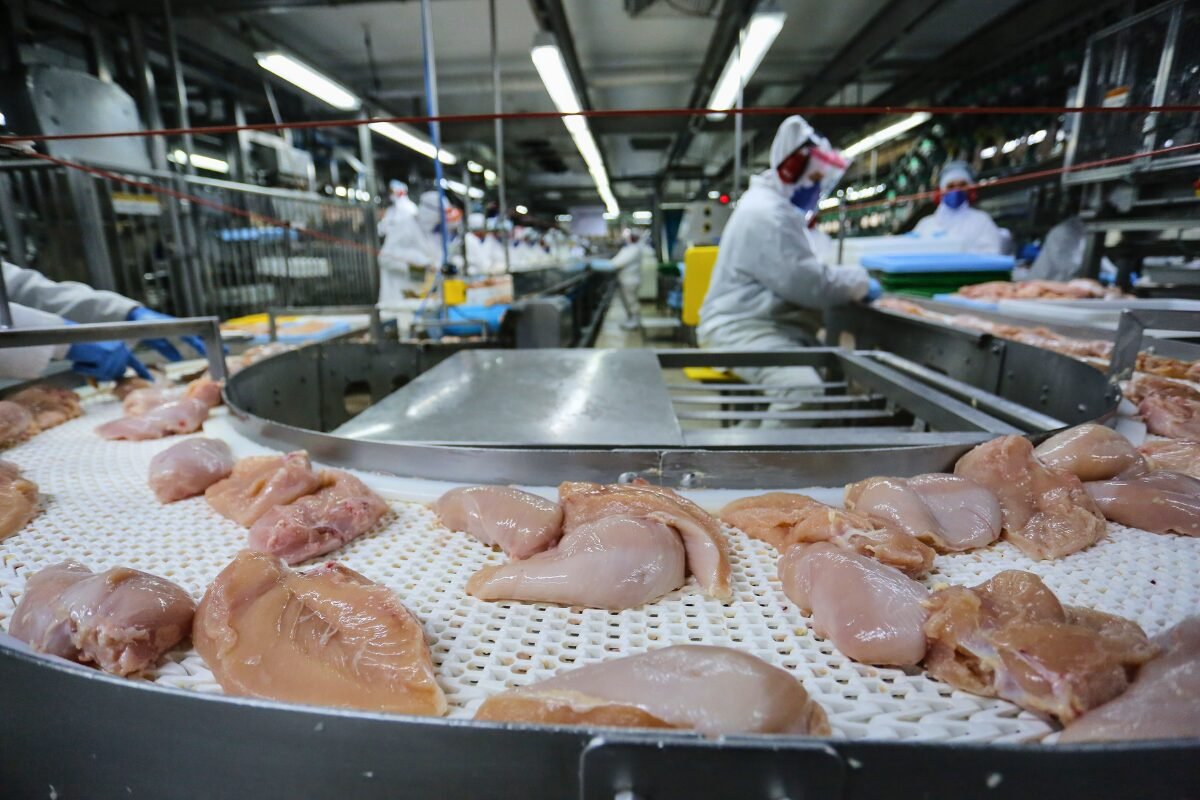 Exportações brasileiras de frango atingem recorde para mês de fevereiro