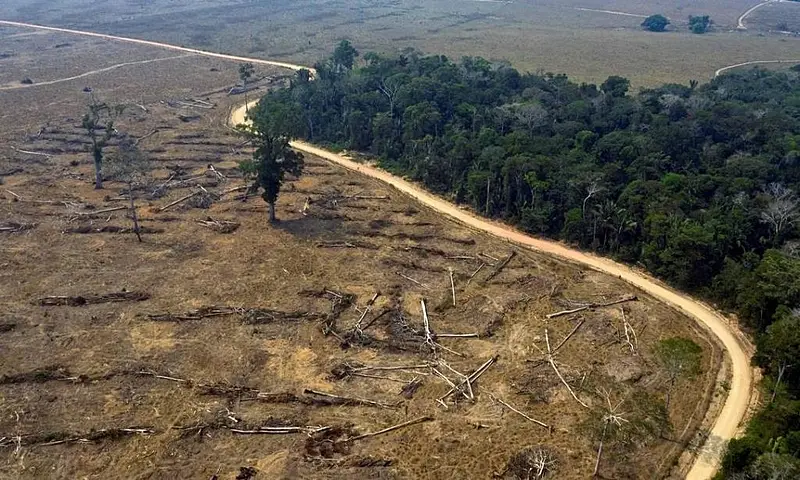 Crédito rural soma R$92,4 bilhões em imóveis com alertas ambientais, aponta levantamento