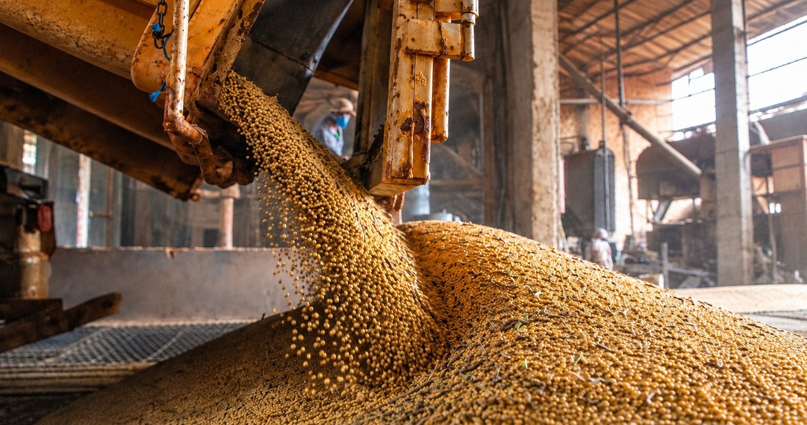 Produção brasileira de grãos deve aumentar apesar do El Niño